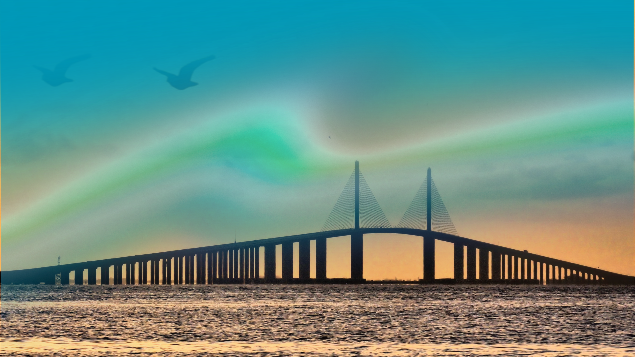 TARPONDREAMS.COM SOCIAL PROFILE TAMPA BAY BACKGROUND IMAGE