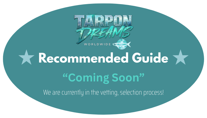 “TD” Recommended Guide Holder #448d93 5-2026