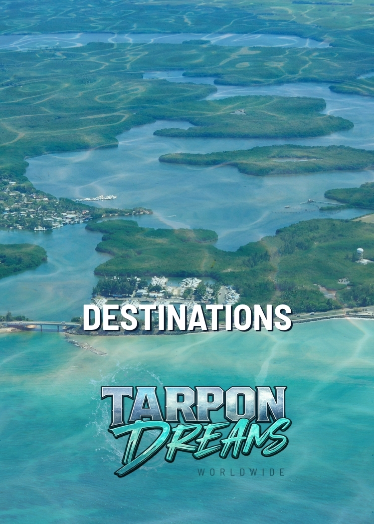 DESTINATIONS - TARPON DREAMS v2