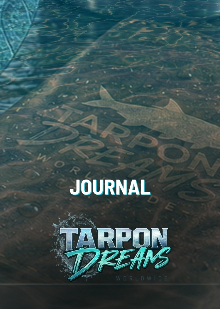 JOURNAL + COMMUNITY - TARPON DREAMS v2