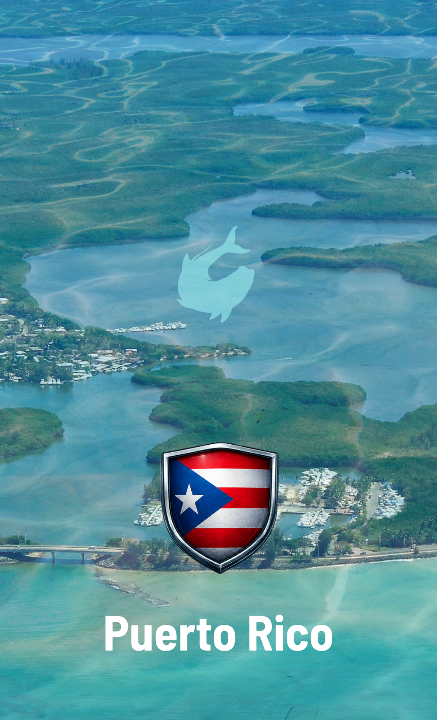 PUERTO RICO DESTINATION CARD FEATURE 8.5x14