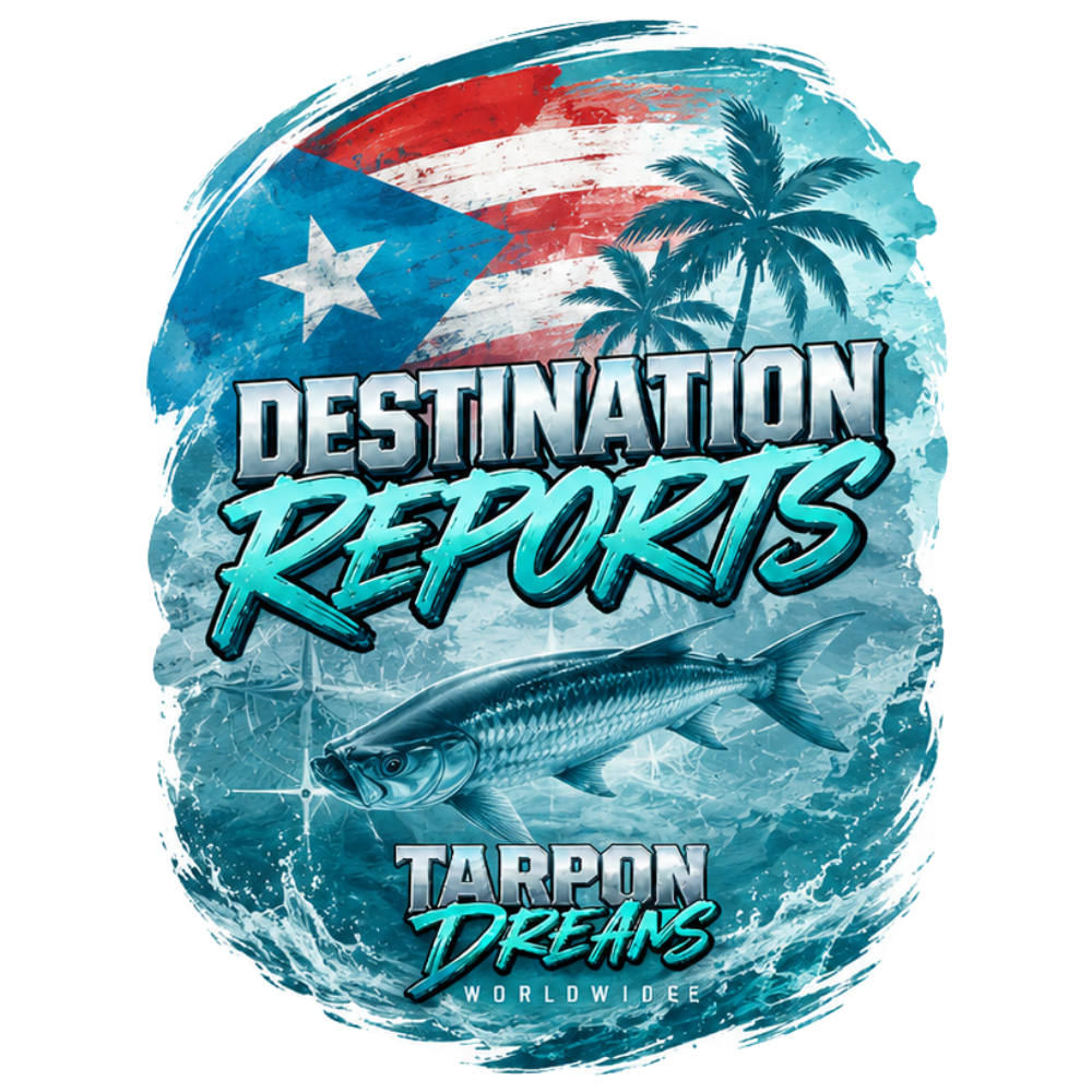 TD DESTINATION REPORTS IMAGE PNG