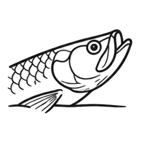 Tarpon Dreams - About Us - Why Tarpon