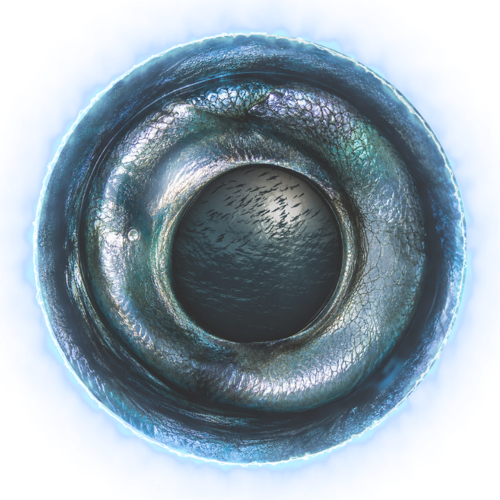 The Tarpon's Eye