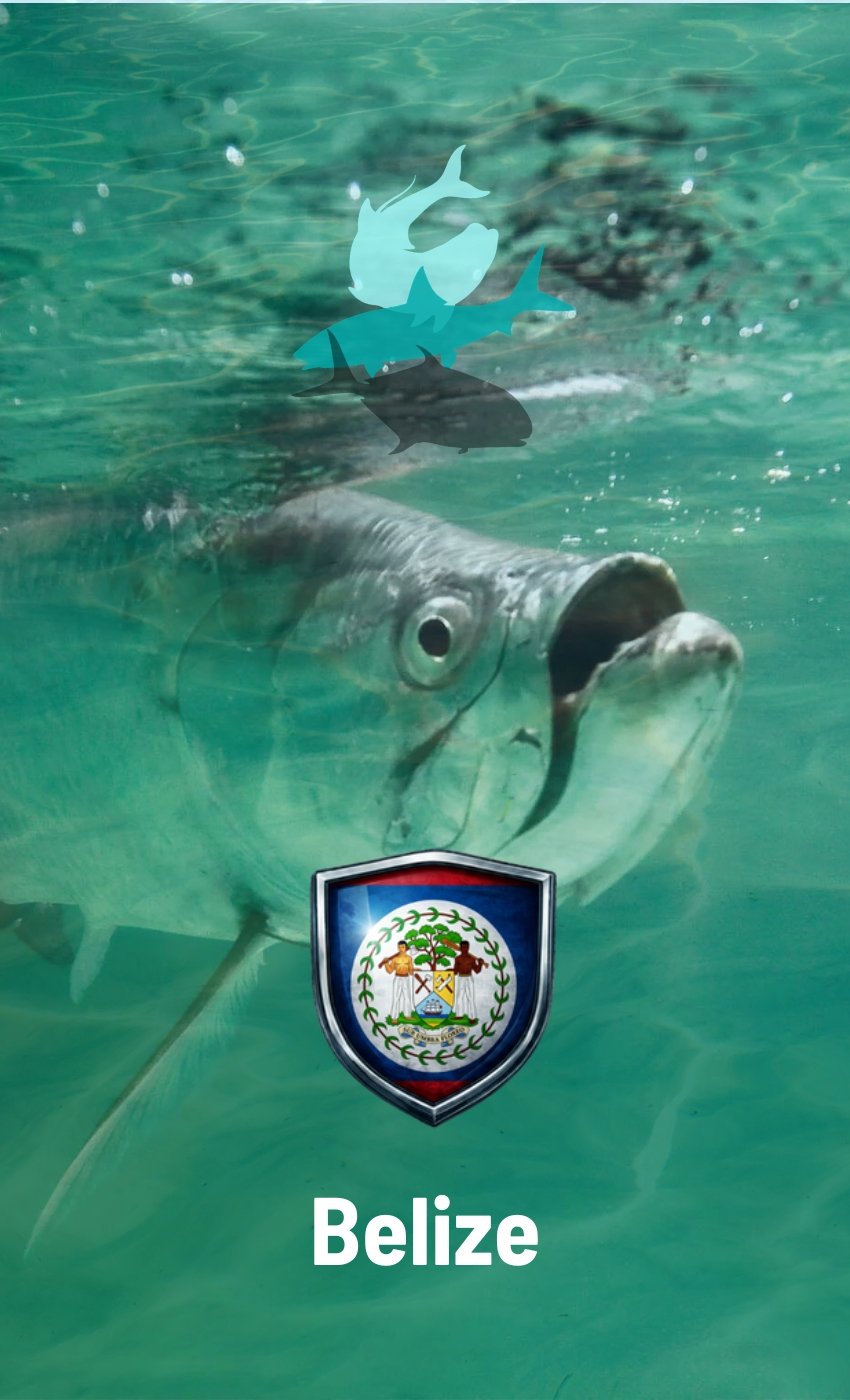 BELIZE TARPON FISHING - DESTINATION CARD FEATURE v1 BELIZE TARPON FISHING WITH BONEFISH + PERMIT DESTINATION CARD FEATURE v1