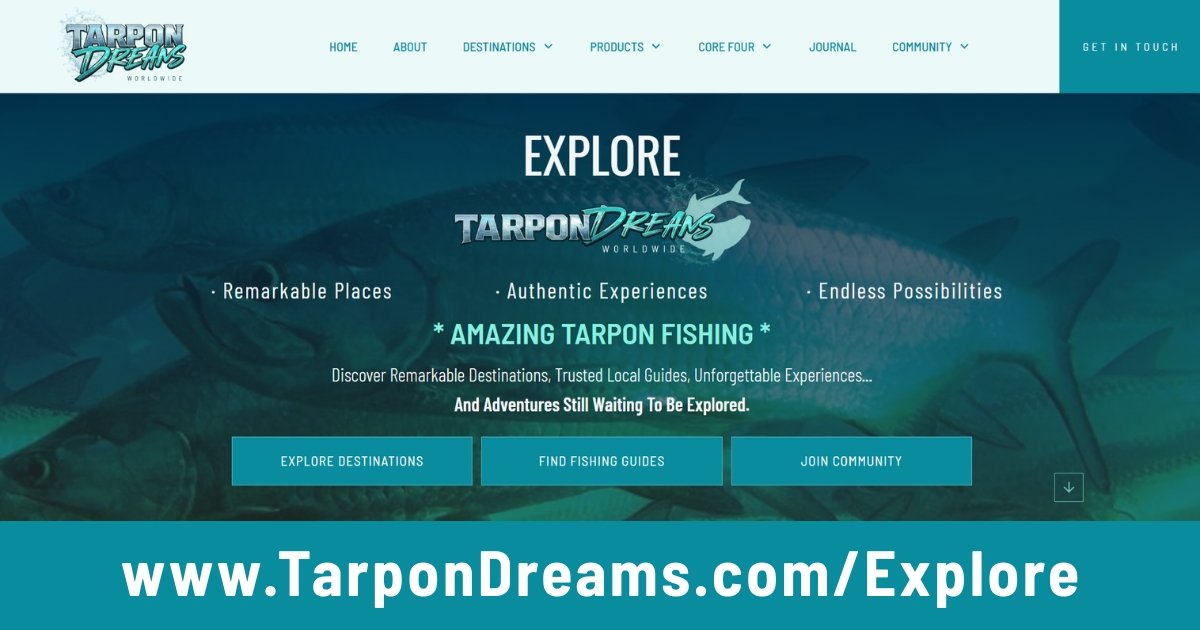 COMMUNITY - EXPLORE - Tarpon Dreams™ FEATURED IMAGE 7-18-26 COMMUNITY EXPLORE Tarpon Dreams™ FEATURED IMAGE 7-18-26