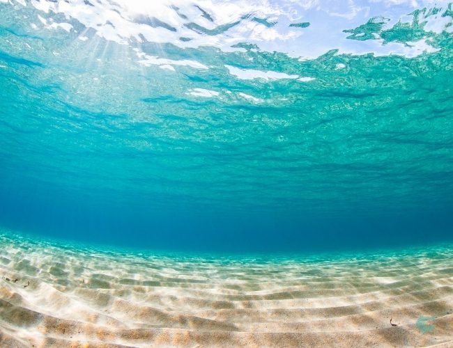Featured Stay - Puerto Rico - Tarpon Dreams Tropical Overlooks 15 Featured Stay – Puerto Rico – Tarpon Dreams Tropical Overlooks 15