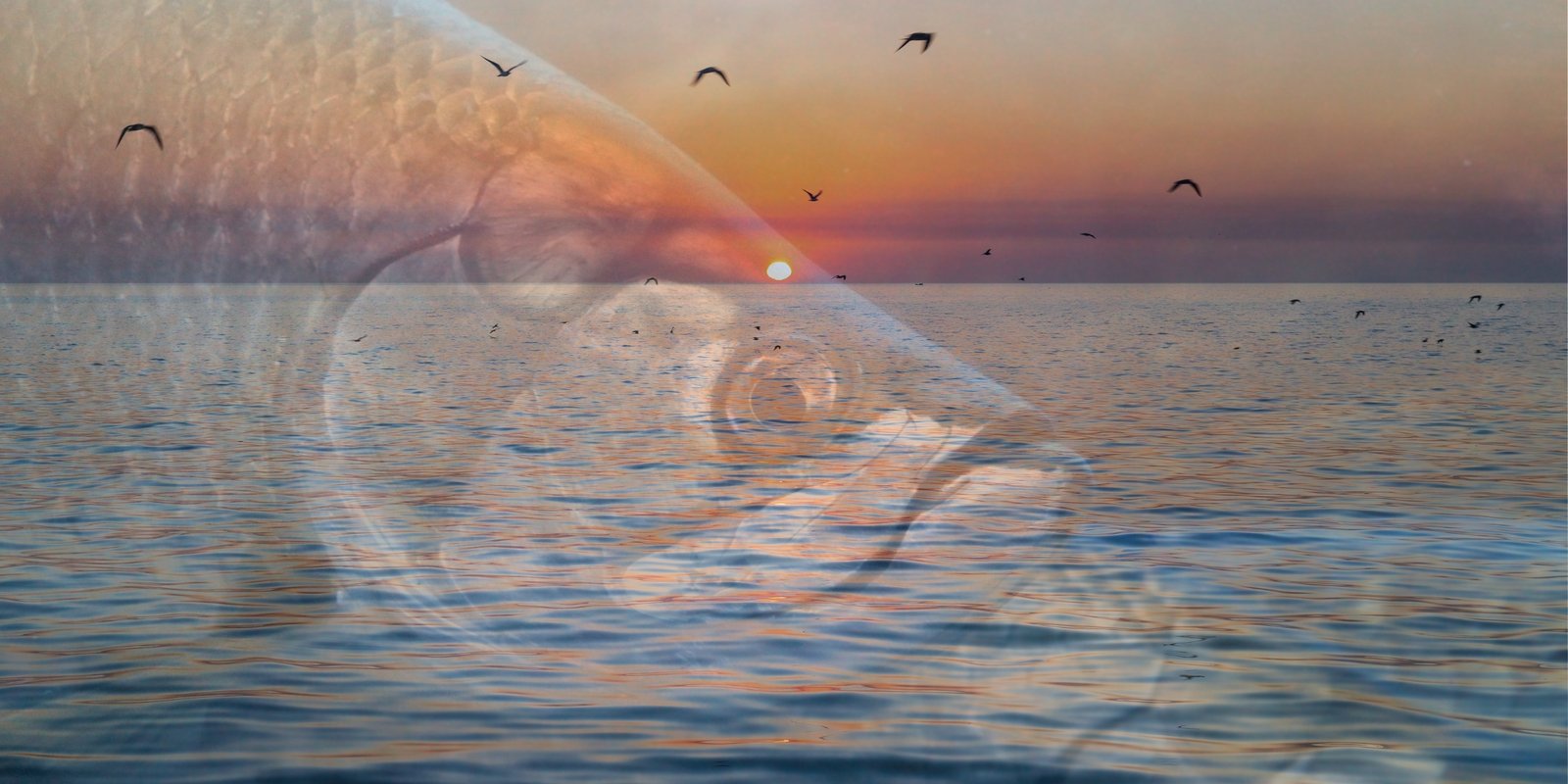Fly Fishing Mexico Tarpon Campeche Baby Tarpon Lodge - BG Fly Fishing Mexico Tarpon Campeche Baby Tarpon Lodge BG