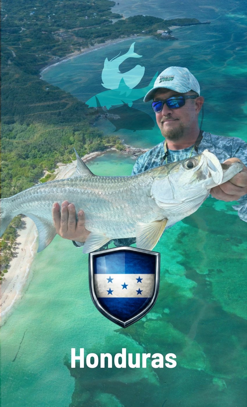 HONDURAS ROATAN TARPON FISHING - DESTINATION CARD FEATURE v1 HONDURAS ROATAN TARPON FISHING DESTINATION CARD FEATURE v1