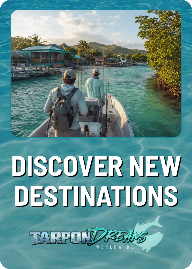 TARPON DREAMS - COMMUNITY CARD 2 TARPON DREAMS COMMUNITY CARD 2