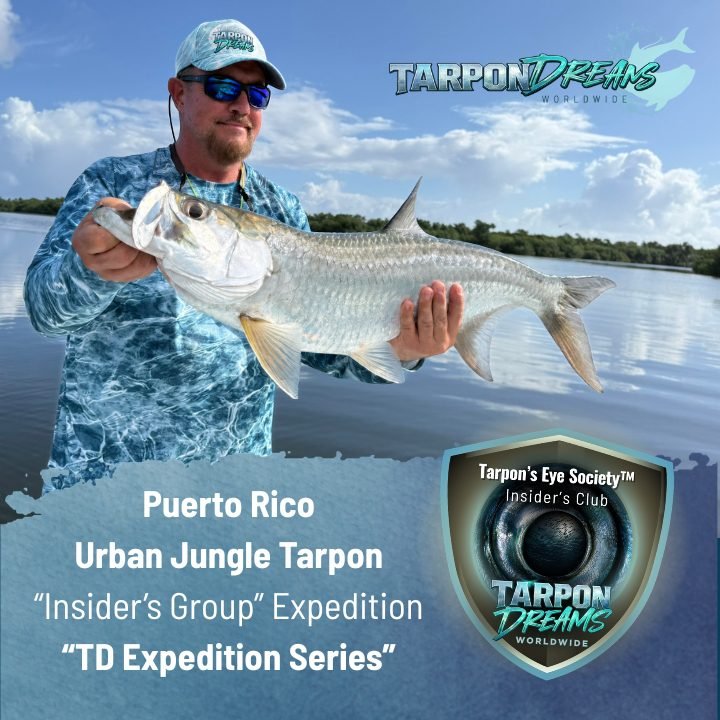 Tarpon Dreams - Expedition Cards (sq) Puerto Rico Urban Jungle Tarpon Tarpon Dreams Expedition Cards (sq) Puerto Rico Urban Jungle Tarpon
