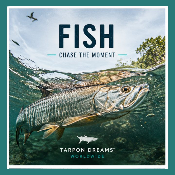 Tarpon Dreams - The Welcome Video - FISH 1 OF 4 PILLAR Tarpon Dreams - PILLAR #1 FISH - Tarpon Fishing is our Passion