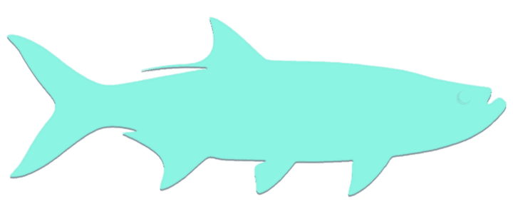 Tarpon Silhouette - Face Right TD Aqua Tarpon Slihoette