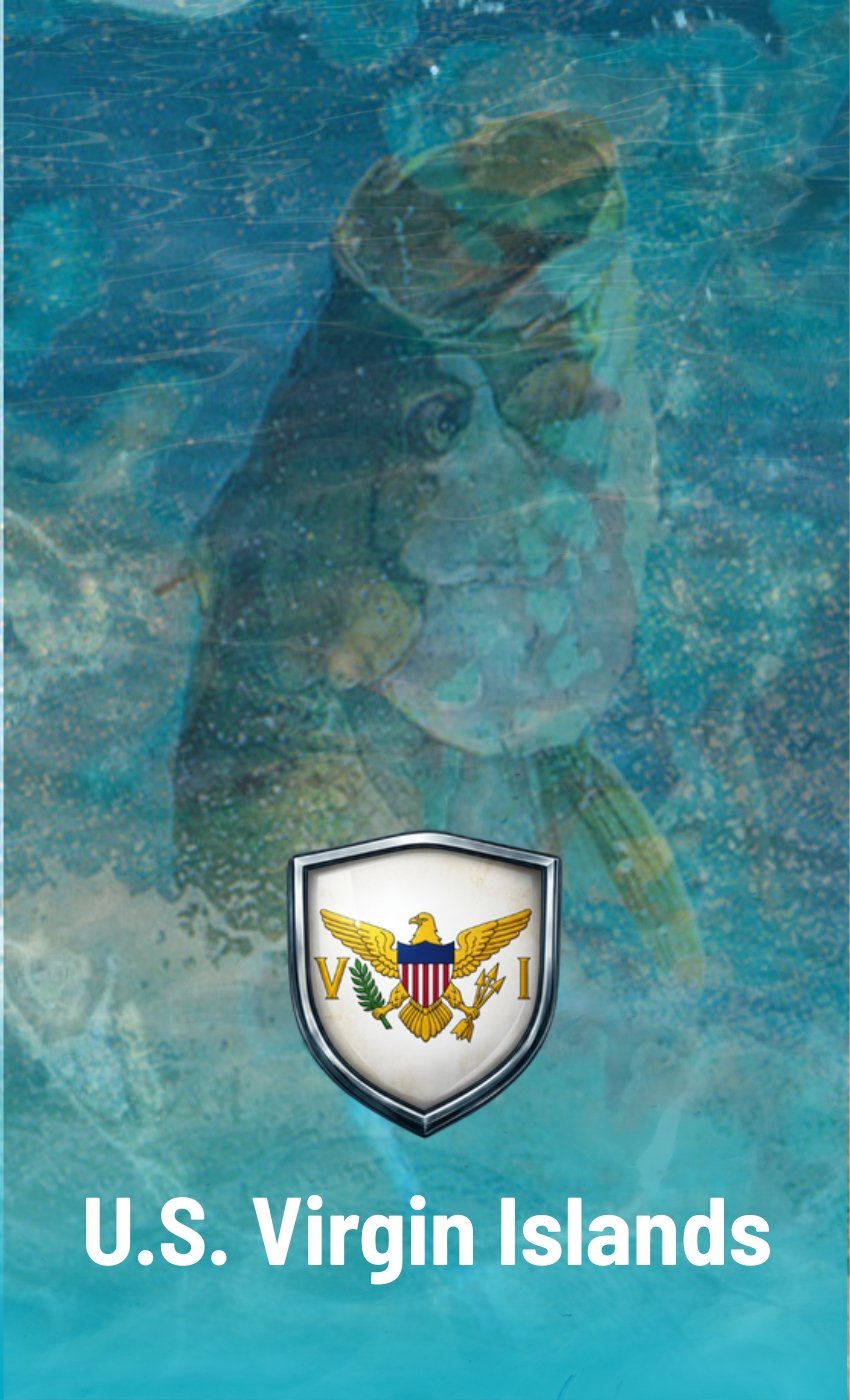 U.S. VIRGIN ISLANDS TARPON FISHING - DESTINATION CARD FEATURE v1 U.S. VIRGIN ISLANDS TARPON FISHING DESTINATION CARD FEATURE v1