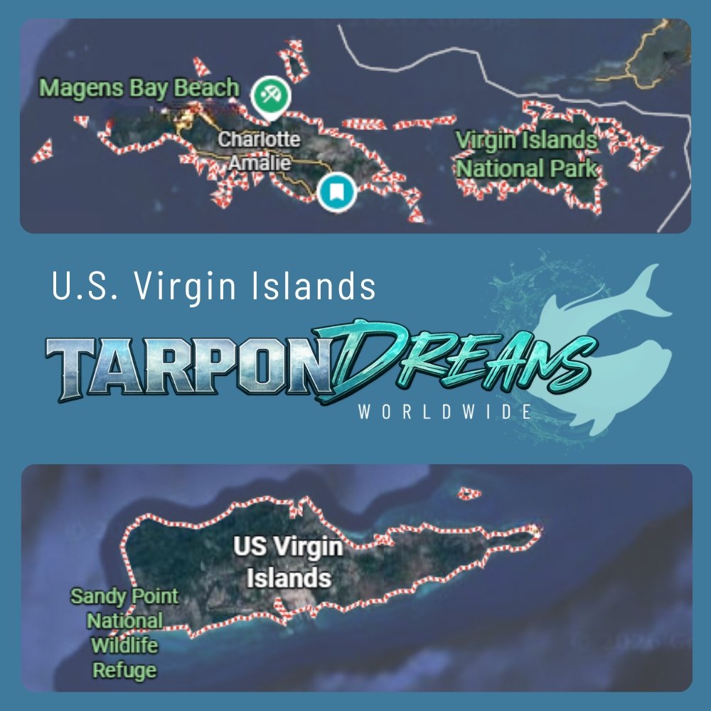 U.S. Virgin Islands Tarpon Fishing - St. Thomas Mangrove Lagoon St. Croix St. James Marine Reserve U.S. Virgin Islands Tarpon Fishing St. Thomas Mangrove Lagoon St. Croix St. James Marine Reserve