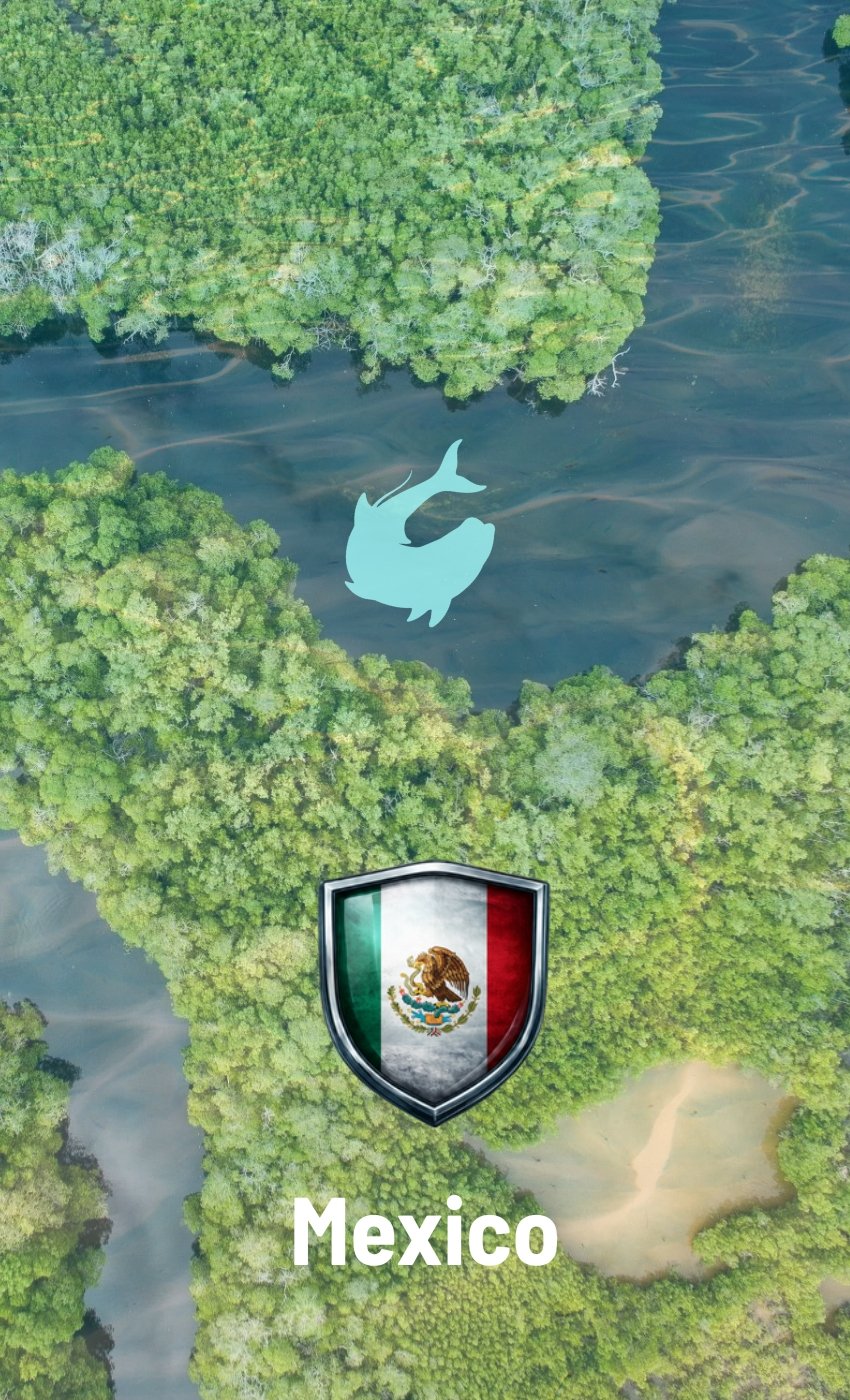 YUCATAN PENINSULA DESTINATION CARD FEATURE 8.5x14 v3 MEXICO CAMPECHE TABASCO Ría Celestún YUCATAN PENINSULA DESTINATION CARD FEATURE