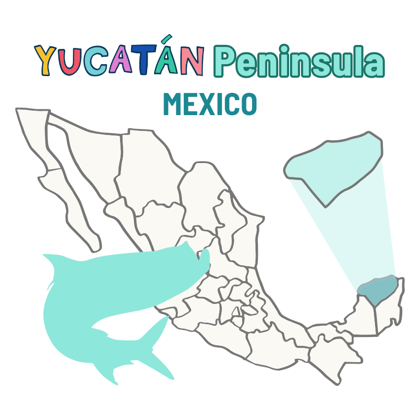Yucatan Peninsula - Mexico Tarpon Fishing Yucatan Peninsula Mexico Tarpon Fishing