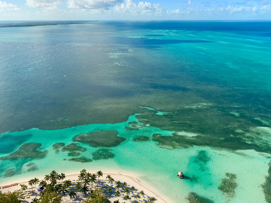 The Bahamas - Andros and Abaco Island Tarpon FIshing The Bahamas - Andros and Abaco Island Tarpon FIshing