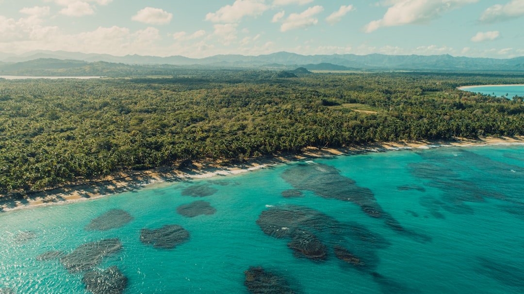 Photo by Asael Peña green trees near blue body of water during daytime