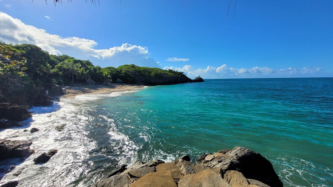 Photo by Chalo Garcia a rocky beach with a body of water and trees on the side
