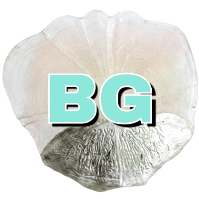 BOCA GRANDE TARPON FISHING - TARPON SCALE BOCA GRANDE TARPON FISHING TARPON SCALE