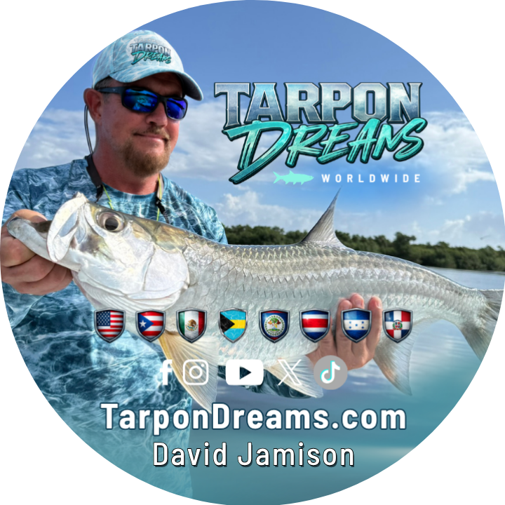 David Jamison Founder Tarpon Dreams Gravatar Username DavidJamison_TD