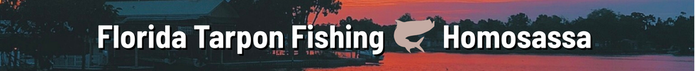 Florida Tarpon Fishing - Homosassa Nature Coast Florida Tarpon Fishing Homosassa Nature Coast