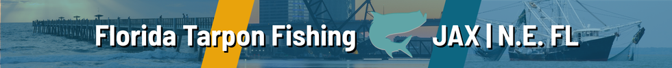 Florida Tarpon Fishing N.E. FLORIDA JAX Florida Tarpon Fishing N.E. FLORIDA JAX