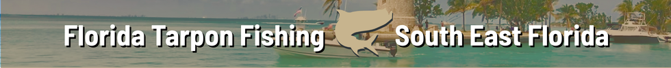 Florida Tarpon Fishing Southeast Florida Miami Florida Tarpon Fishing Southeast Florida Miami