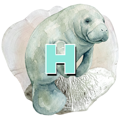 HOMOSASSA TARPON FISHING - TARPON SCALE HOMOSASSA TARPON FISHING TARPON SCALE