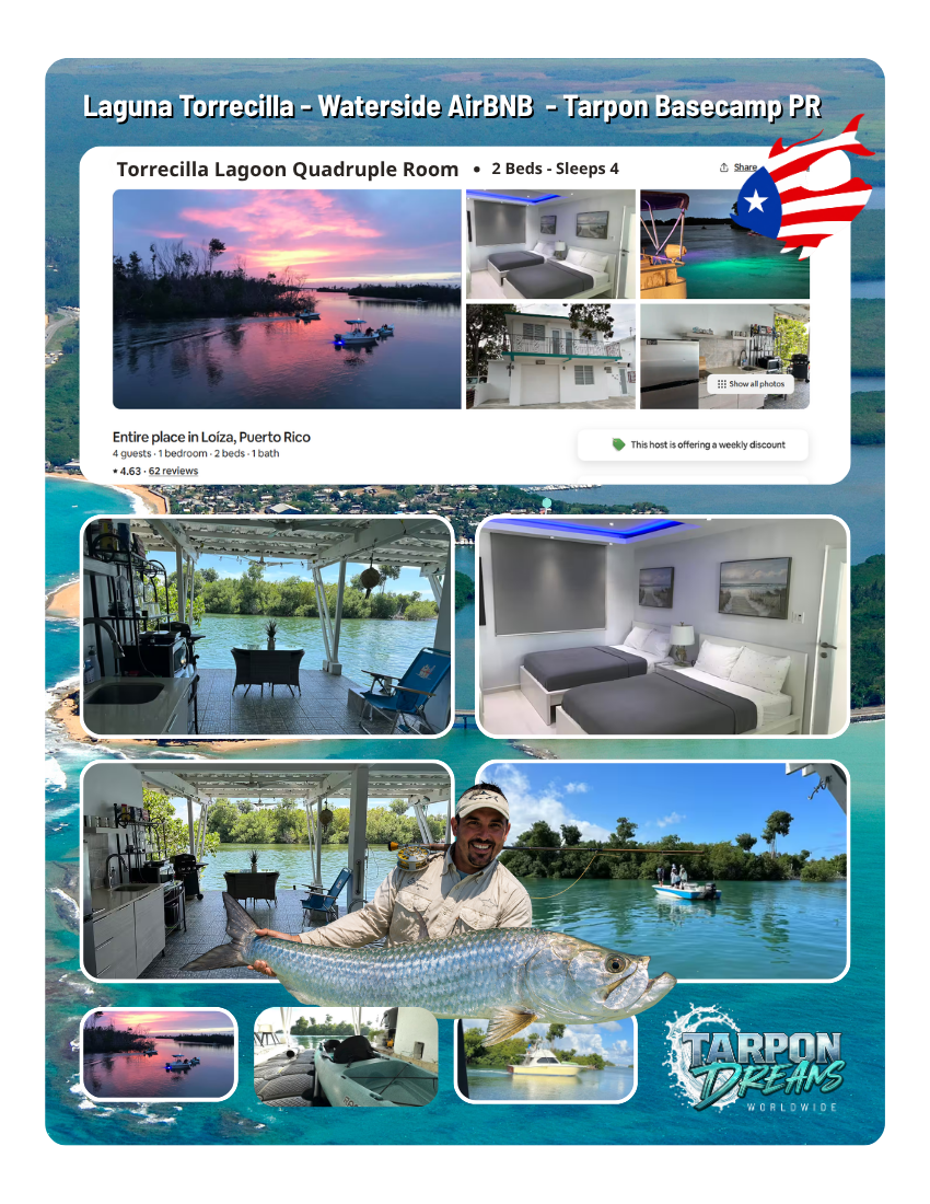 Laguna Torrecilla - Waterside AirBNB Tarpon Dreams™ Tarpon Basecamp #1 PNG Laguna Torrecilla Waterside AirBNB Tarpon Dreams™ Tarpon Basecamp #1