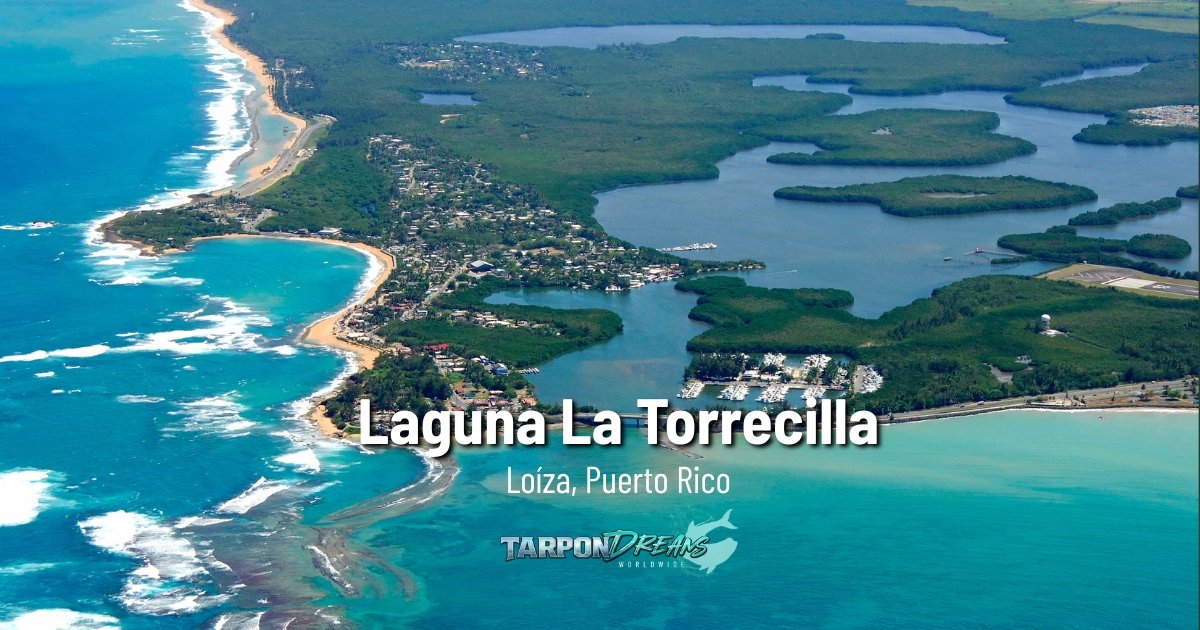 Loíza Puerto Rico Tarpon Fishing Exploring Laguna La Torrecilla - ALT Image Loíza Puerto Rico Tarpon Fishing Exploring Laguna La Torrecilla Image