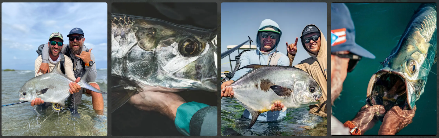 NO NAME FLY LODGE - THE FISH NO NAME FLY LODGE THE FISH