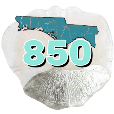 PANHANDLE FL TARPON FISHING - TARPON SCALE PANHANDLE FL TARPON FISHING TARPON SCALE