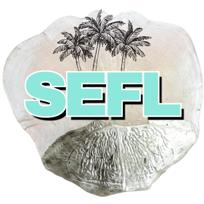 S.E. FLORIDA TARPON FISHING - TARPON SCALE S.E. FLORIDA TARPON FISHING TARPON SCALE