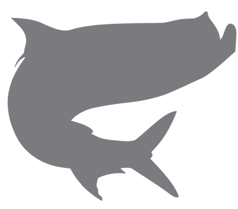 TARPON SILOHUETTE SVG TARPON SILOHUETTE SVG