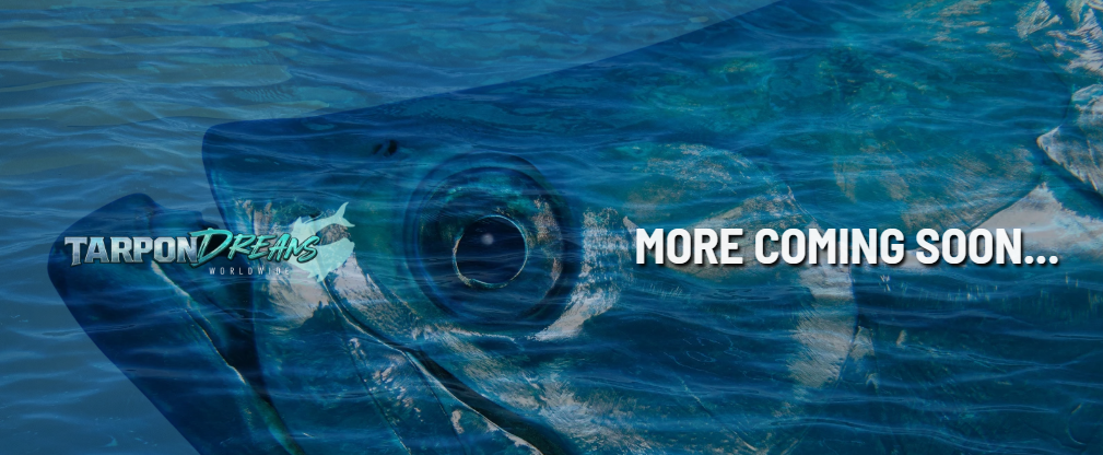 Tarpon Dreams™ COMING SOON - UNDER CONSTRUCTION Banner Tarpon Dreams™ COMING SOON UNDER CONSTRUCTION Banner