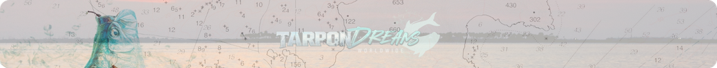 Tarpon Dreams™ Inspired Journal Article Bar