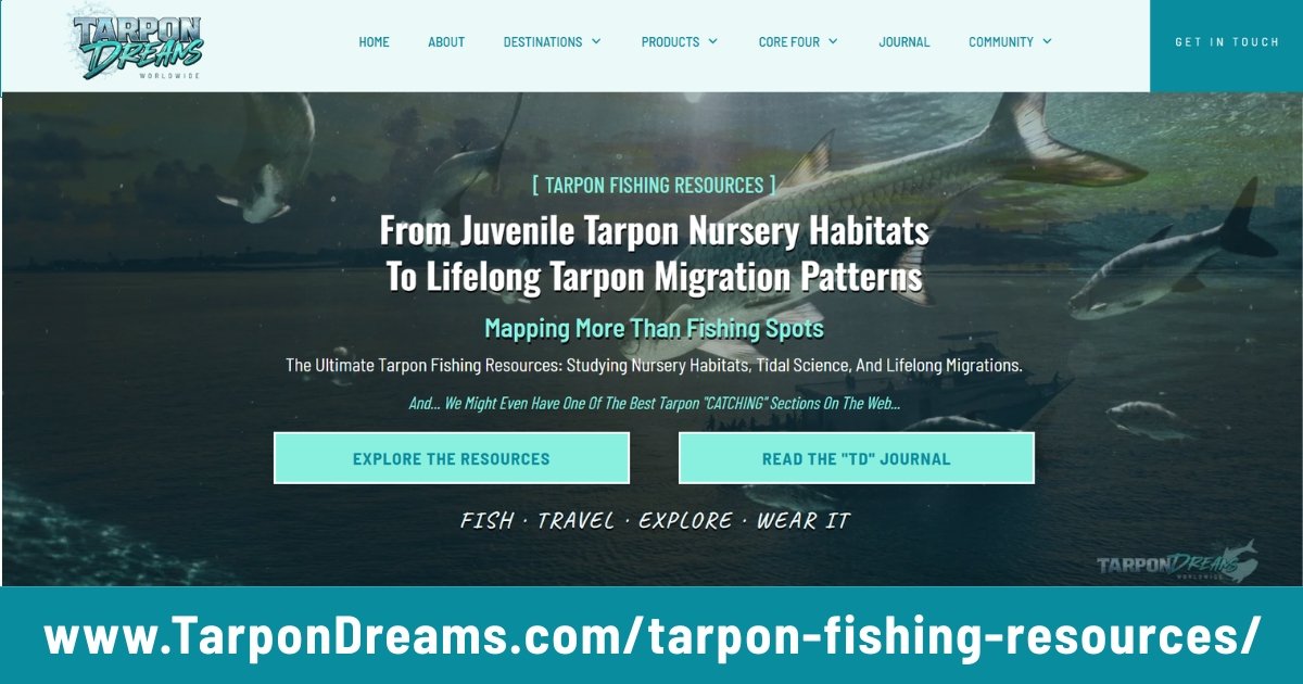 Tarpon Dreams™ TARPON FISHING RESOURCES FEATURED IMAGE Tarpon Dreams™ TARPON FISHING RESOURCES FEATURED IMAGE