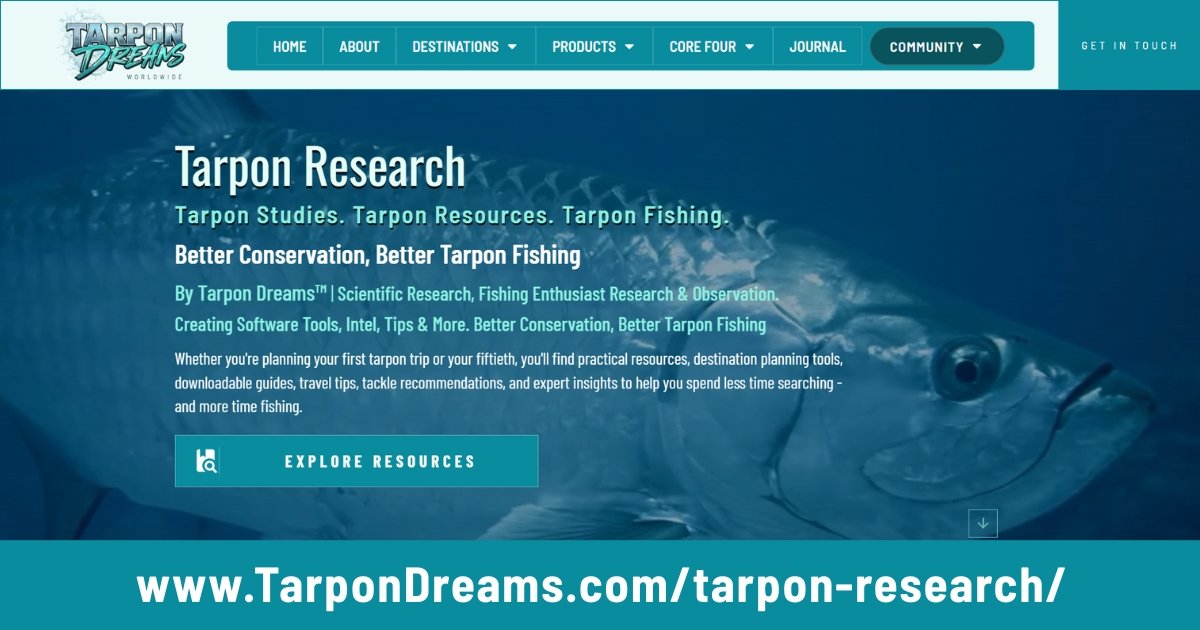 Tarpon Dreams™ TARPON RESEARCH FEATURED IMAGE Tarpon Dreams™ TARPON RESEARCH FEATURED IMAGE