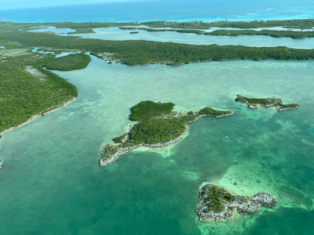 aerial view of green and brown island