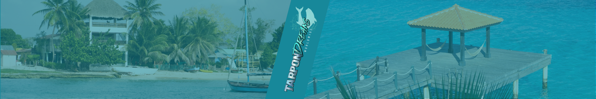 Choosing the Best Tarpon Fishing Lodge by Tarpon Dreams