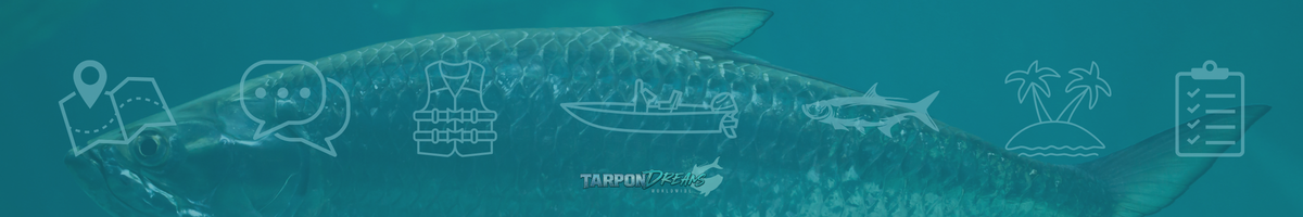 How to Choose a Tarpon Fishing Guide 7 Simple Things That Matter! How to Choose a Tarpon Fishing Guide 7 Simple Things That Matter!