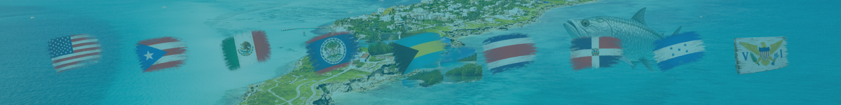 How to Choose the Right Tarpon Fishing Destination from the TD 9 v2