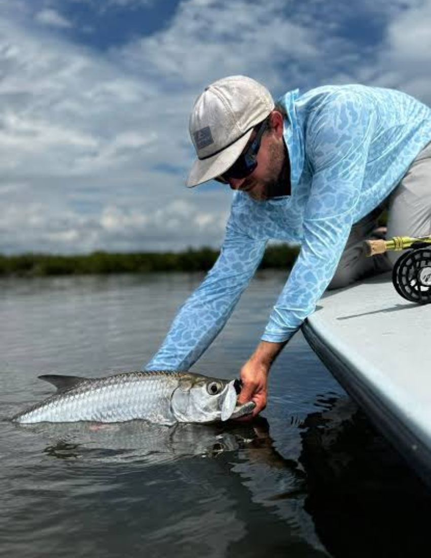 Juvenile Tarpon Florida - Tarpon Trivia by Tarpon Dreams™ Juvenile Tarpon Florida - Tarpon Trivia by Tarpon Dreams™