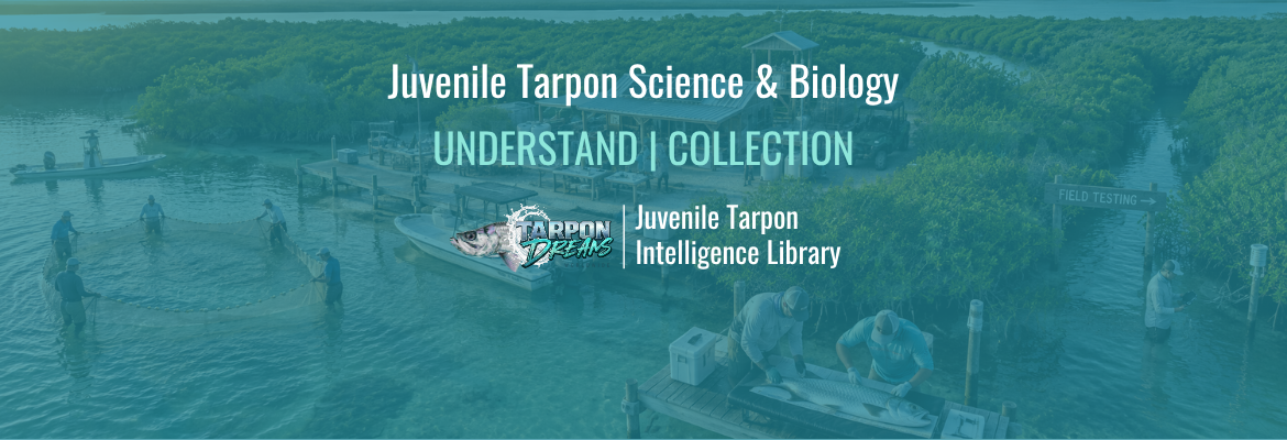 Juvenile Tarpon Science & Biology UNDERSTAND COLLECTION - JTSBU COVER Juvenile Tarpon Science & Biology UNDERSTAND COLLECTION - JTSBU COVER