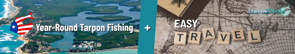 Puerto Rico - YEAR-ROUND + EASY TRAVEL Puerto Rico - YEAR-ROUND + EASY TRAVEL