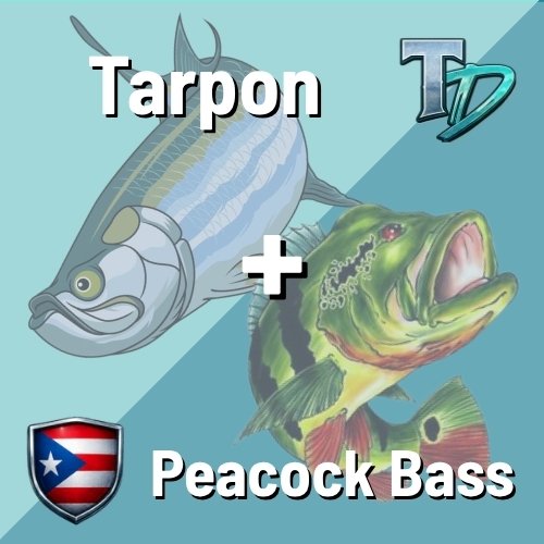 TD TARPON + PEACOCK BASS TRIPS Tarpon + Peacock Bass - Tarpon Dreams Trips Logo