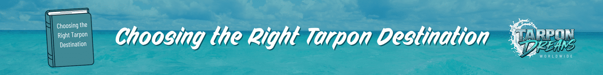 Tarpon Dreams - Choose the Right Destination Journal Post Banner Tarpon Dreams - Choose the Right Destination Journal Post Banner