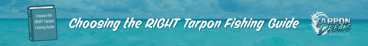 Tarpon Dreams - Choosing the RIGHT Tarpon Guide Journal Post Banner Tarpon Dreams - Choosing the RIGHT Tarpon Guide Journal Post Banner